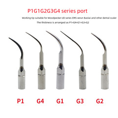 Dental scaler EMS Satelec Woodpecker available scaler needle tip P1G1 working tip