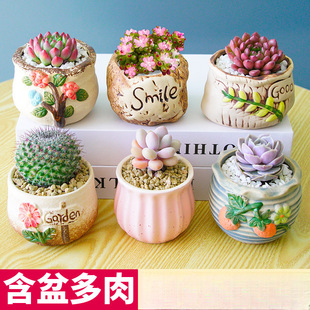 ֲ҃Сմɻ߶҃ȾGֲݗ