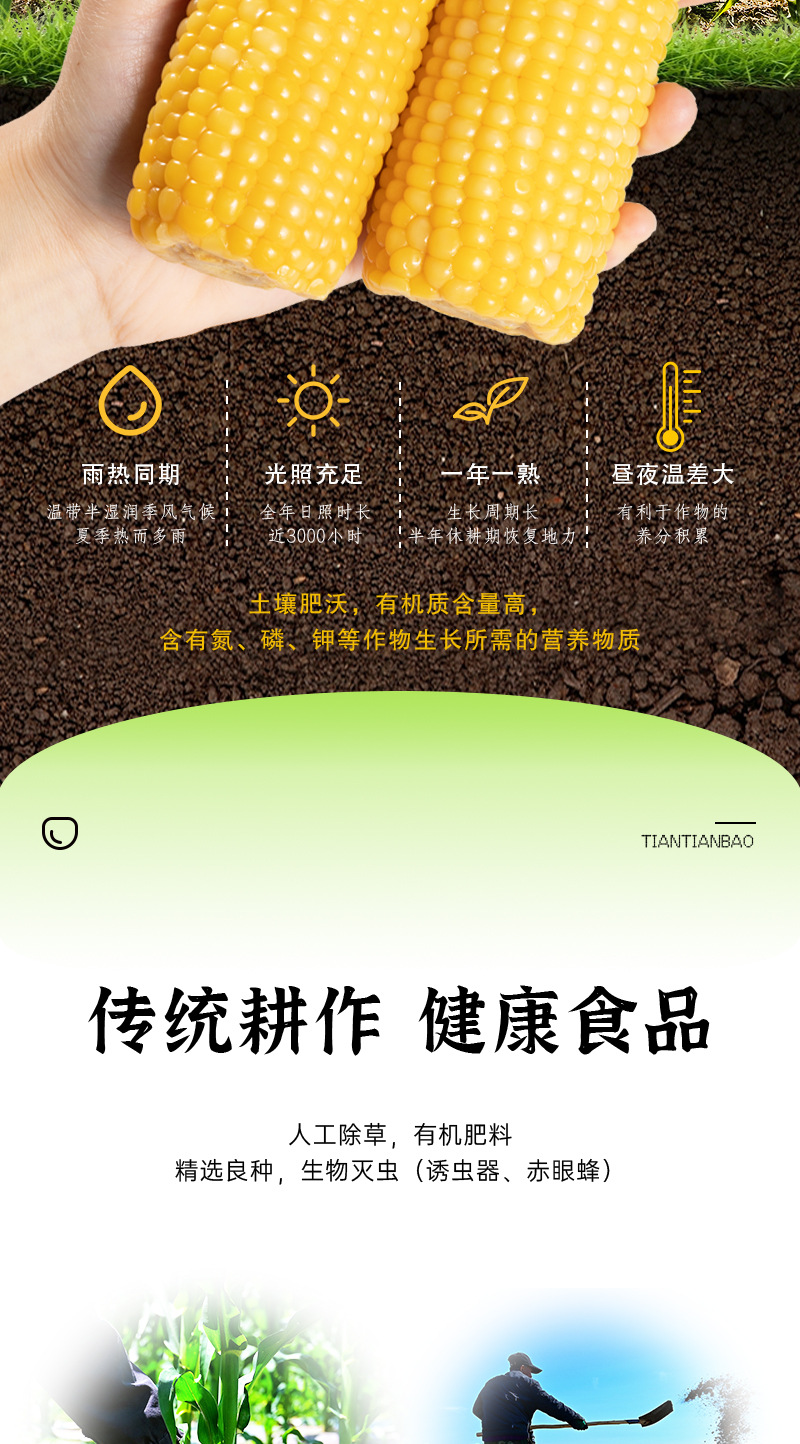 旧包装-甜田苞详情_09.jpg