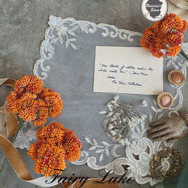 日系 法系 此时那杯路士香橙茶  迷离果手账拍摄仿真植物办公文化