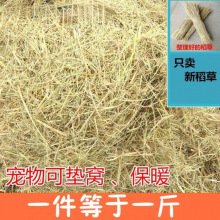 ۫�Z���ݸɲ݉|�������^���ݹ��C�u����|�C��Ȼ�ɵ��ݽն��̗U��