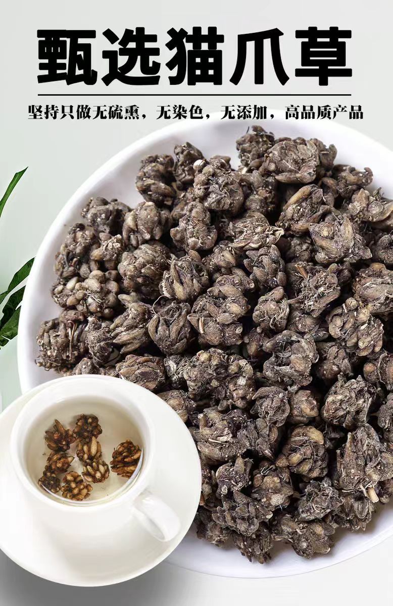 Mao Zhua Cao (Ranunculus ternatus) — Dried Cat's Claw Herb, 500g Clean Sulfur-Free overview