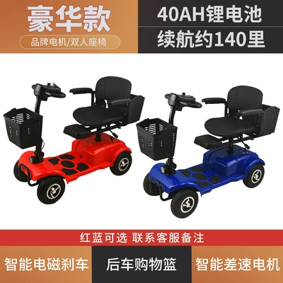 portable battery car small lithium | Qatlanan elektrik velosipedlər - luxurious-double-lithium-battery-40ah