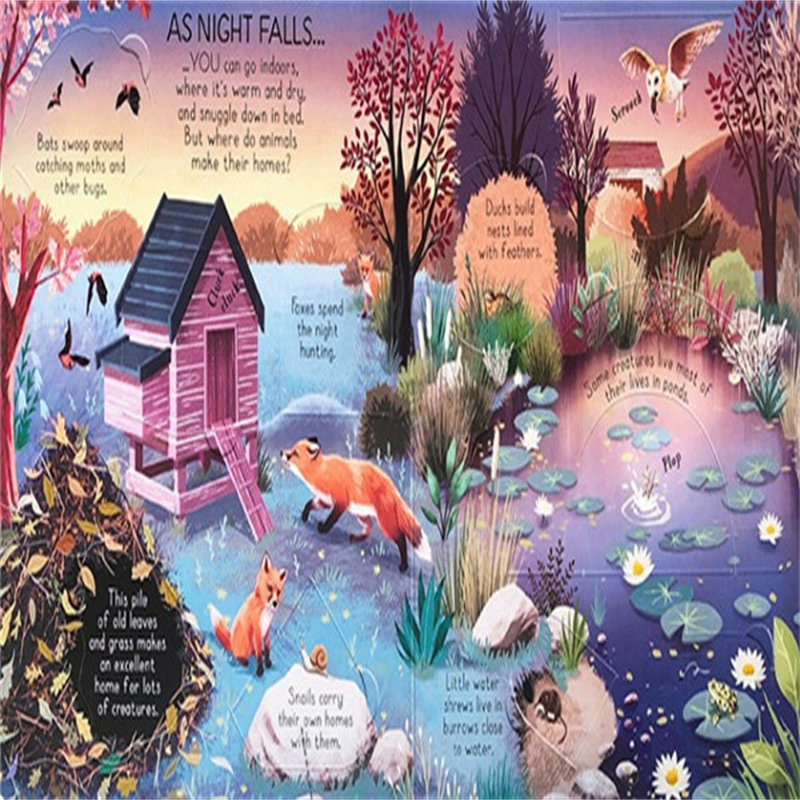 Usborne тайно заглядывает в популярную серию научных иллюстраций картона, посмотрите внутрь/увидеть внутри