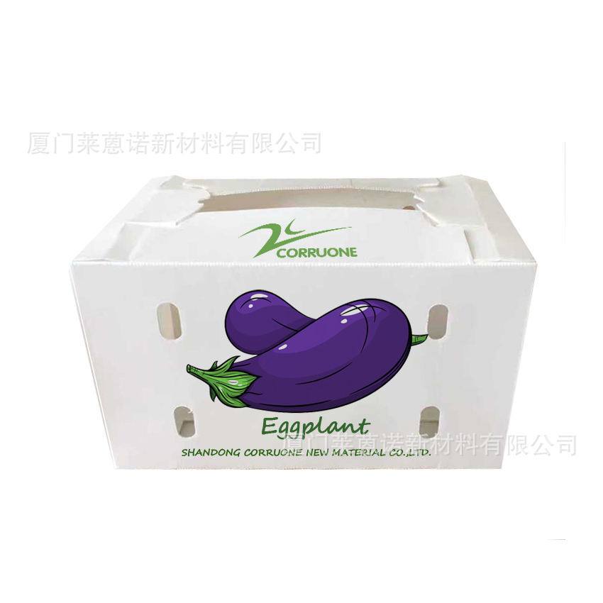 Caja de frutas y verduras de placa hueca pp personalizada plegable impermeable frutas y verduras frescas de transporte de cadena de frío Caja de plástico de calcio image 13