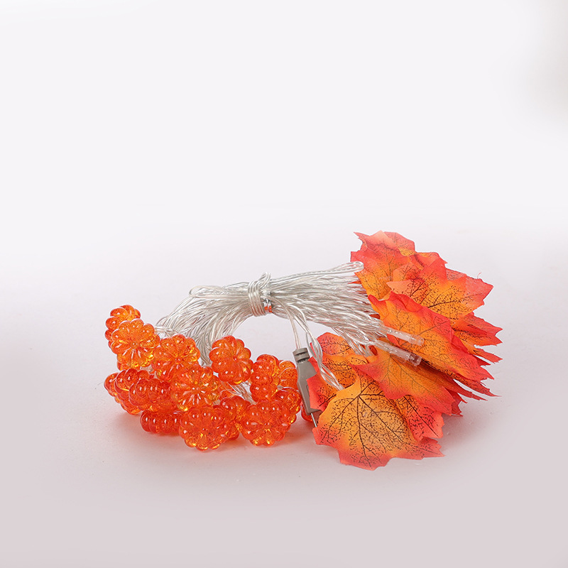 단풍잎(단엽) + 버블호박