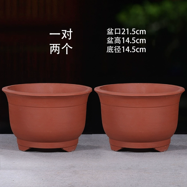 Pony, flowerpot, 21.5cm, 21.5cm