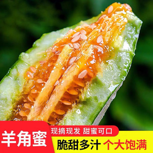 ɽ�|�^�������������r�ܹϮ����Fժ����5����������һ�����l