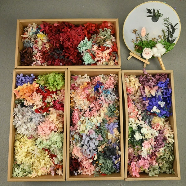 B -level Anna wooden hydrangea color mixing color random hair