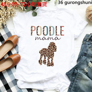 �¹��������yT���ȸ��F�eȮ����ҿ����F�eȮ�CȮ����ȮT��Ů�Է�