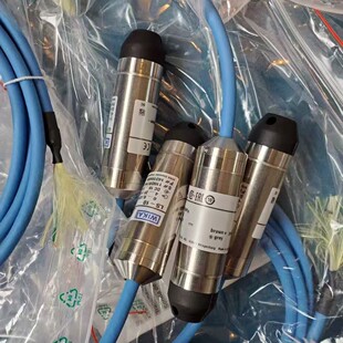 Immersion Pressure Transmitter Wika Ls-10 Level Sensor