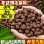 水培多肉养花回填营养土