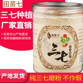 苗七三七超细粉250克云南文山超细三七粉正品田七粉批发代磨粉