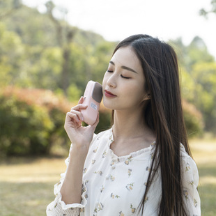Hot-Selling Japanese and Korean Cold Compress Device Beauty Semiconductor Ice Compress Device Facial Large Artery Cold Compress Ice Hammer Shrinks Pores