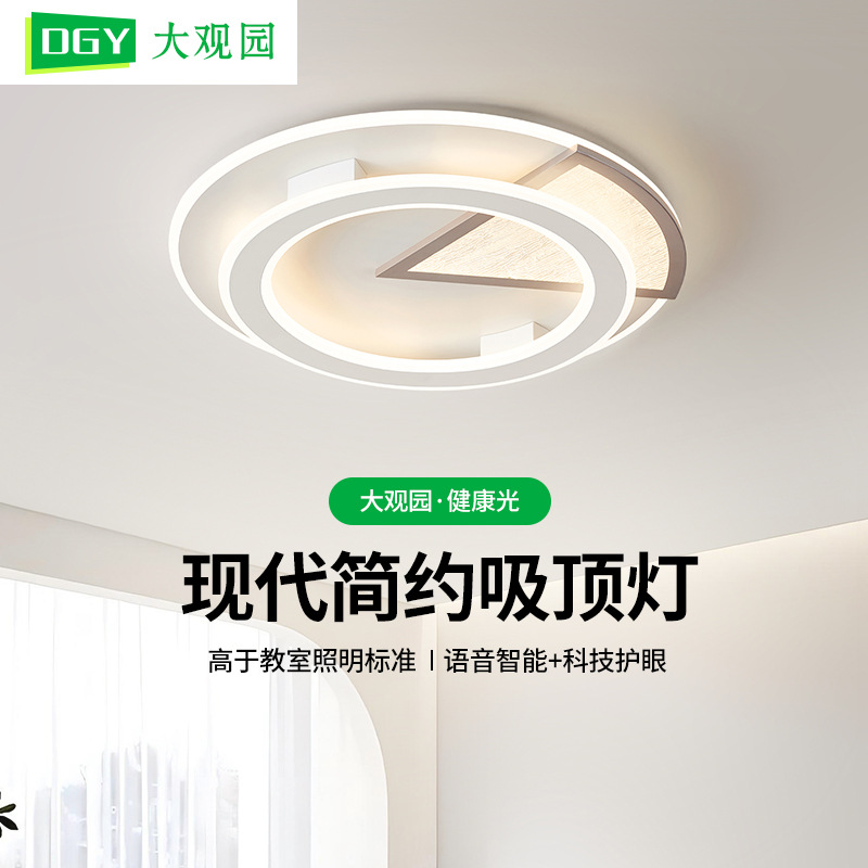 Gran vista jardín dormitorio lámpara de techo creativa nórdica 2026 nuevo diseño simple lámpara de techo Zhongshan 598L