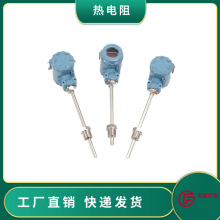 SxPT100ضȂһwض׃zbK