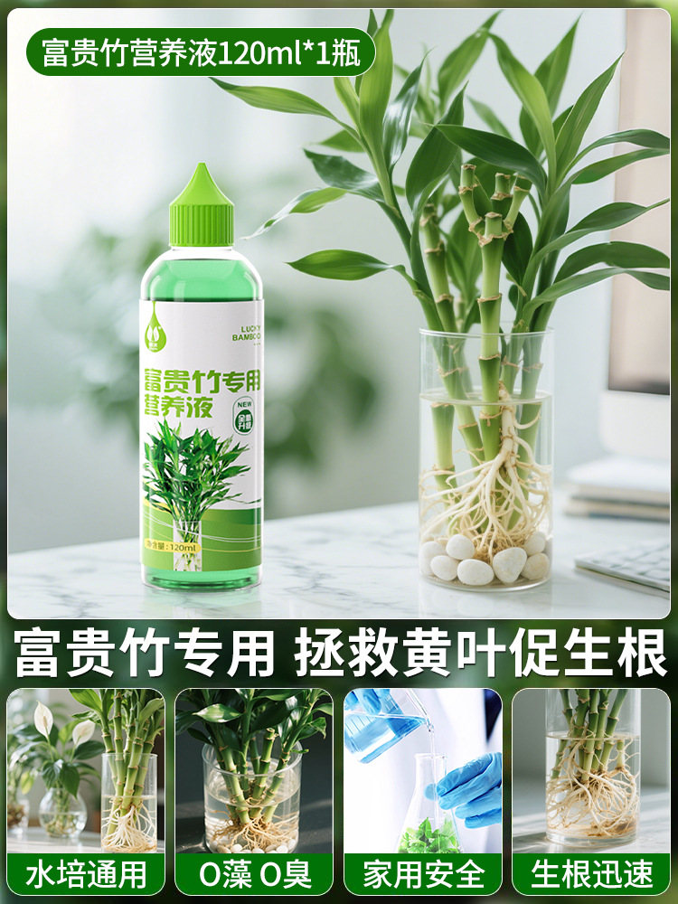 富贵竹专用营养液120ml*1