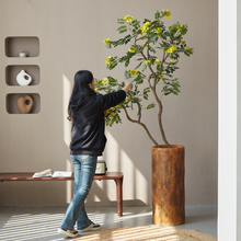 ?�Gֲ�҃�������Լ٘�ֲ���S�����й��L�b��p���辰�[