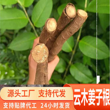 Դ�^һ�����l����خaҰ��ɽ������ ľ���Ӹ� �����ζ ���c�D�z