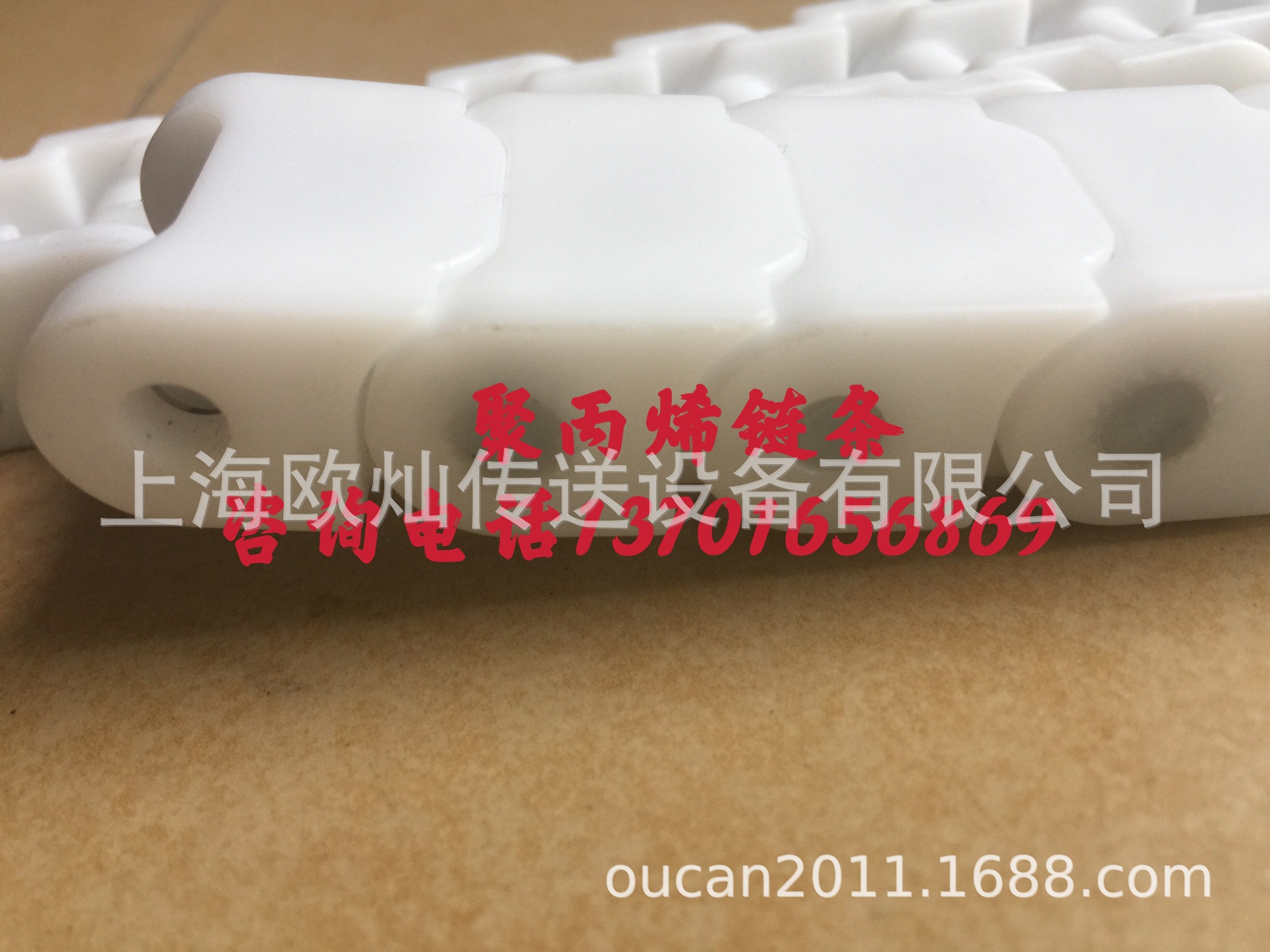 聚丙烯链条 PP链轮 30宽白色PP塑料链条60P 塑料插销 聚丙烯链轮