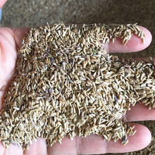 ɫջNN ذ껨û |Cmԏջ