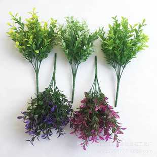 ���l����ֲ��7�洺�����ϼҾ��b�  �辰�@ˇ�������廨����b�