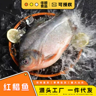 �t�K�~������r���K�~�y�K�~���K���r���~���r���a��ˮ�~�����خa