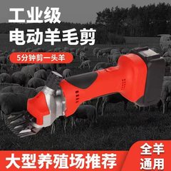 跨境电动锂电羊毛剪充电式大功率剃羊毛推子专业剪动物毛发电剪刀
