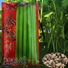 ƷClС𶹷NļNѾGvܶǷNӿ߮a