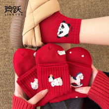 �tɫ�m��Ů�ﶬ��Ͳ�m�ɐۄ���̽����m���걾����t�m�����Y���b