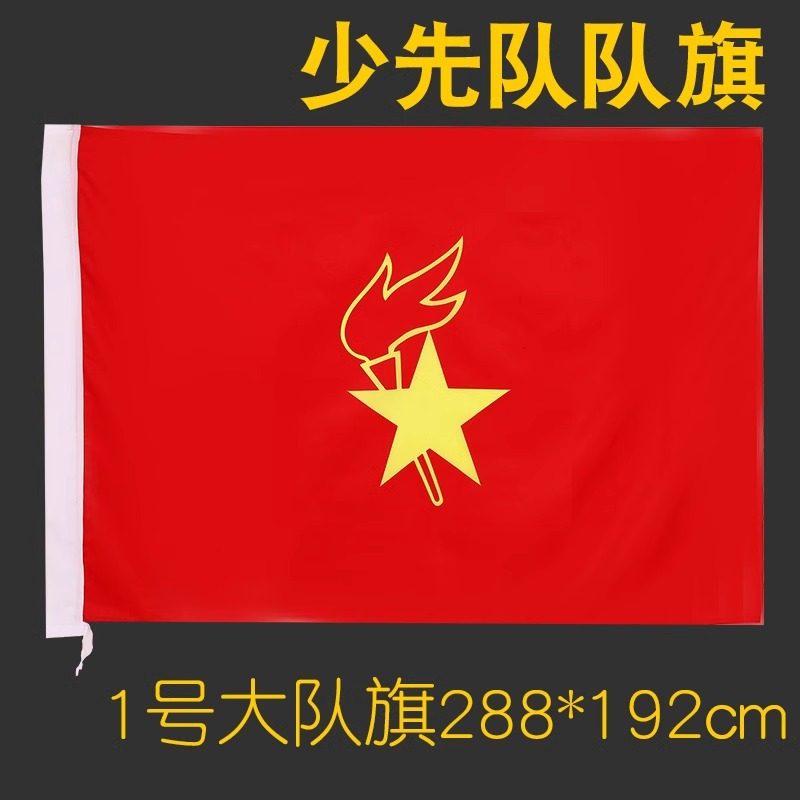 Cờ đội Nano 1 (192x288 cm)