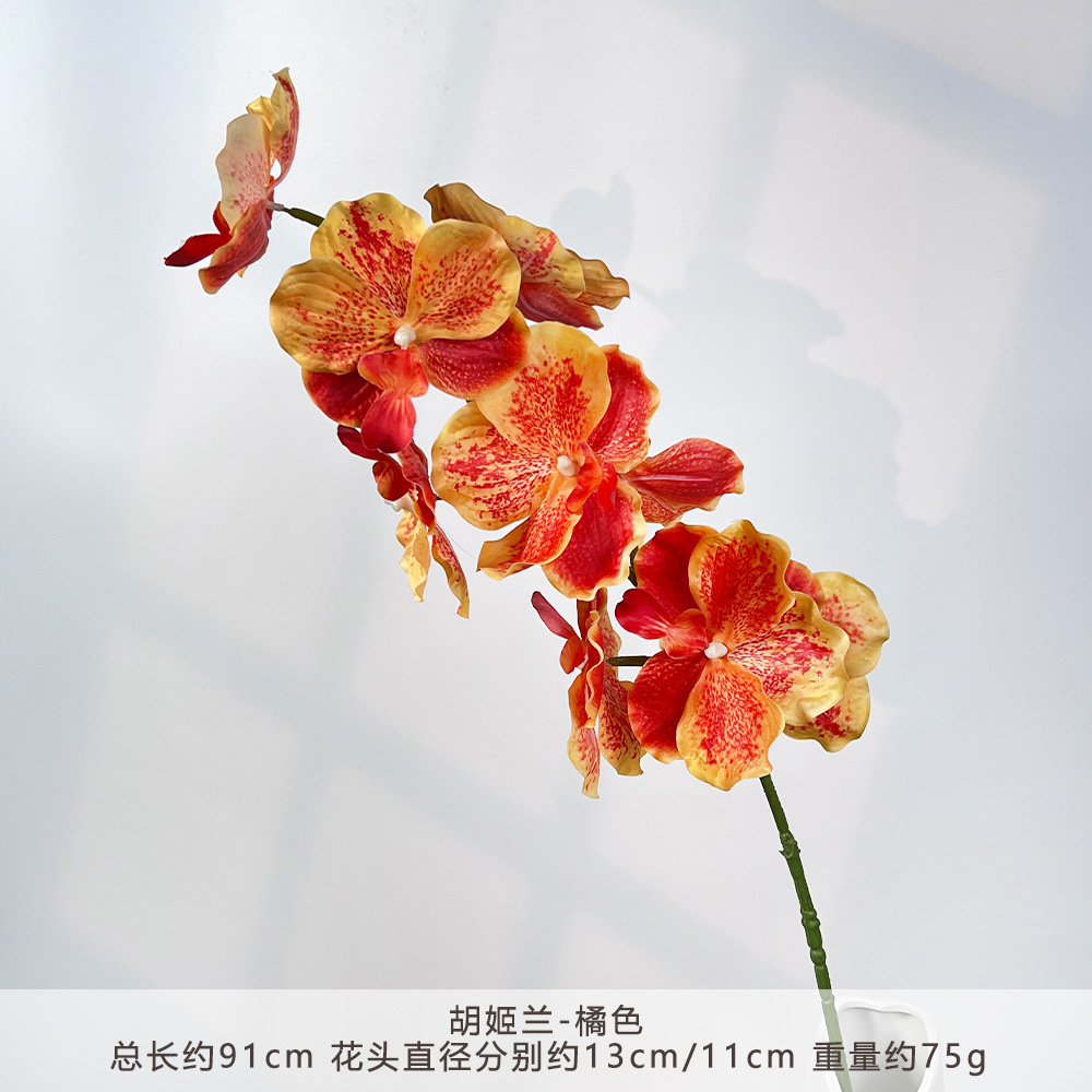 K-Hydrangea-Cam