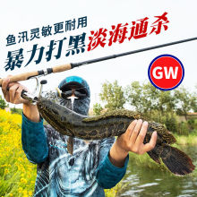 光威伸缩路亚竿碳素超轻超硬路亚竿直柄路亚竿渔具特价钓鱼竿套装