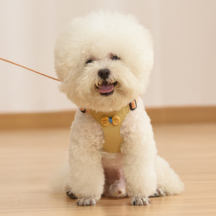 Internet Celebrity Cute Dog Leash Vest Style Small Size Dogs Teddy Bichon Puppy Harness Dog Rope Leash
