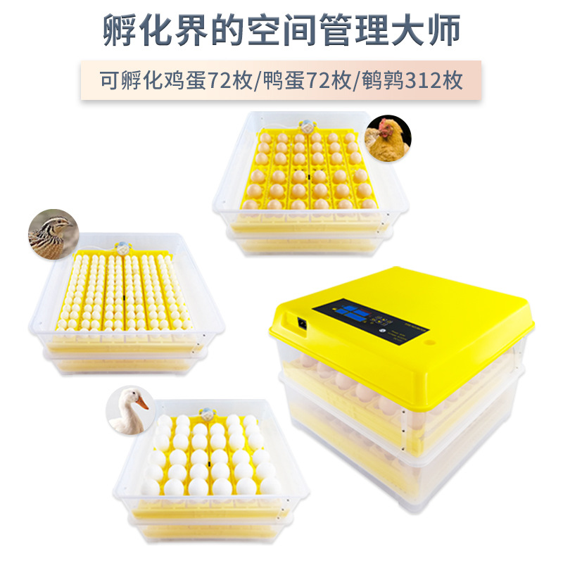 72 unidades inteligente temperatura constante incubadora rutina huevo incubadora automática 312 piezas pájaro huevo incubadora
