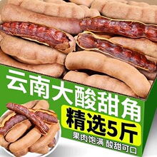 �������خa��������r����ᶹ��������ʳ�ᗗ���_���Ӵ������