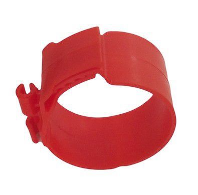 인기 75 레드 튜브 카드 3.8cm/500개