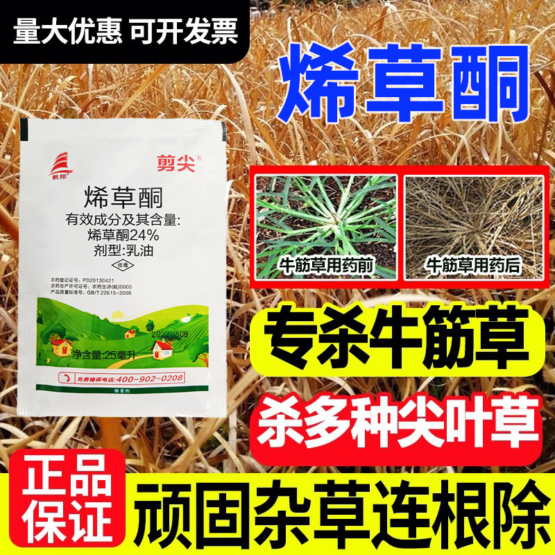 烯草酮烯草烔烯草铜希草酮牛筋草除草根剂一扫光除草剂烂根剂农药