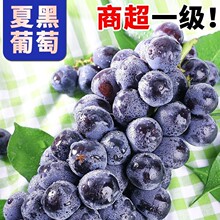 ����ĺ�����5�����r�������o�����ѺڼӁ������ЋDˮ��������]