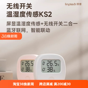 Lingpu Ks2 Temperature and Humidity Meter for Accurate Temperature Measurement