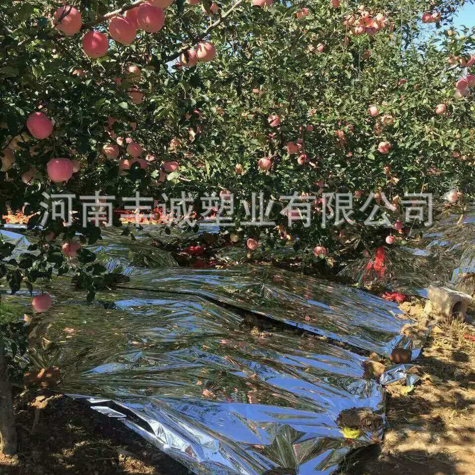 果园反光膜 苹果反光膜镀铝膜果树增色反光膜双面反光膜