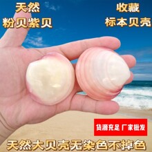 ��Ȼ�۸��ɫ��ؐ���~���쾰�Ҿ��b��ղؔ[����ˇƷ�������նY��