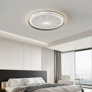 Bedroom Ceiling Lamp 2024 New Modern Simple Light Luxury High Sense Designer Eye Protection Room Master Bedroom Lamps