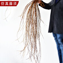 �Ř����횸�횘��٘�֦�ɵ�피ٻ��b��ٗl��������ֲ���쾰