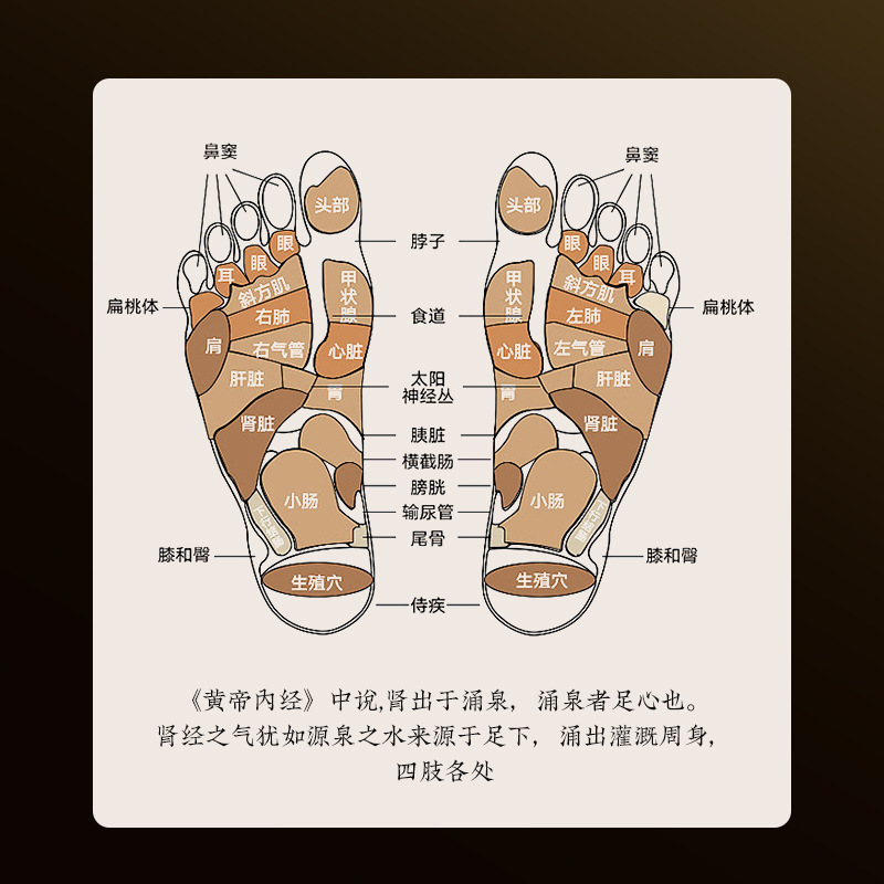 南京同仁堂足貼り老北京足貼り艾草足貼り足ケア睡眠足貼り足貼り|undefined