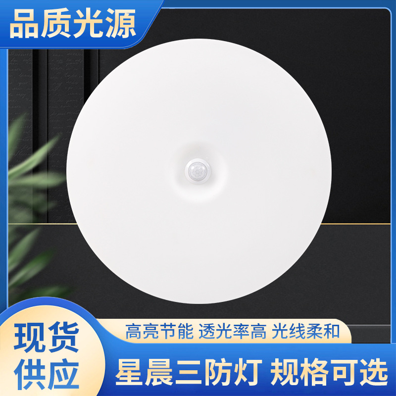 Cross-Border Export Household Simple Living Room Lamp Corridor Balcony Three-Proof Ceiling Lamp Led Bedroom Lamp Intelligent Sensor