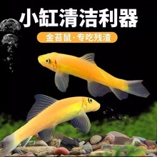 ��̦�������ᎧС���^�p�~�~�׳��幤�ߵ�ˮ�坍�S����̦���~