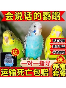 ��Ƥ�W�^����B���P�W�^���w�Bĵ���W�^���fԒ���W�^�����B�W�^