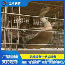 HͿܵBֳOһվʽQ ӯBԄӓ쵰C