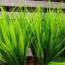 ��ĵ�����߲��쾰�b�����Gֲ�������Ͼ²�ˮ��С�Sɫ����